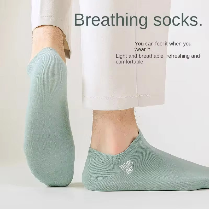 Daily wear Socks Edition